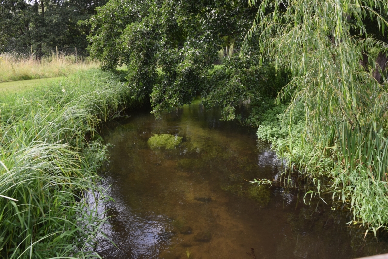 Fullers Mill Garden